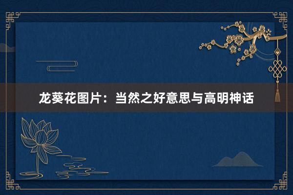 龙葵花图片：当然之好意思与高明神话