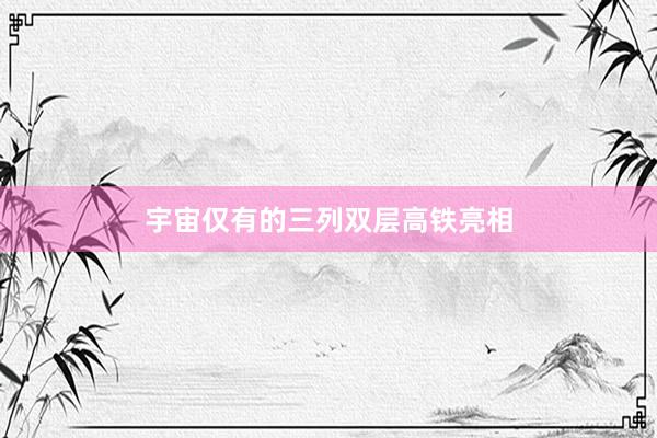 宇宙仅有的三列双层高铁亮相
