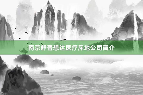 南京舒普想达医疗斥地公司简介